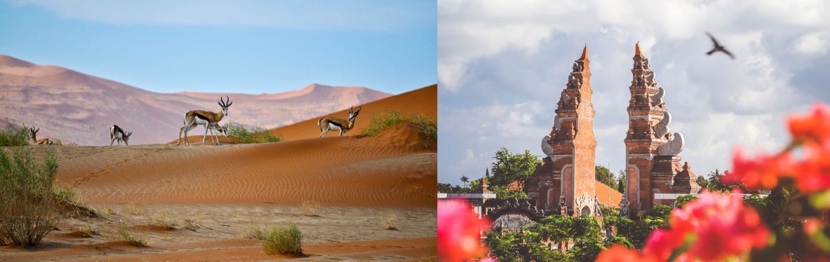 Digital Nomad Visa Comparison: Namibia vs. Indonesia