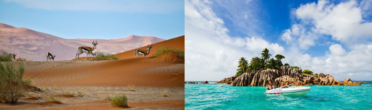 Digital Nomad Visa Comparison: Namibia vs. Seychelles