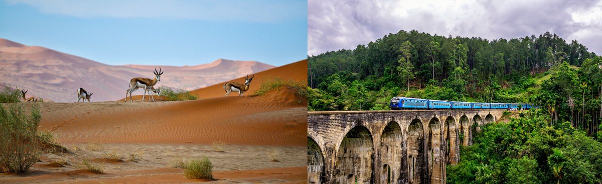 Digital Nomad Visa Comparison: Namibia vs. Sri Lanka